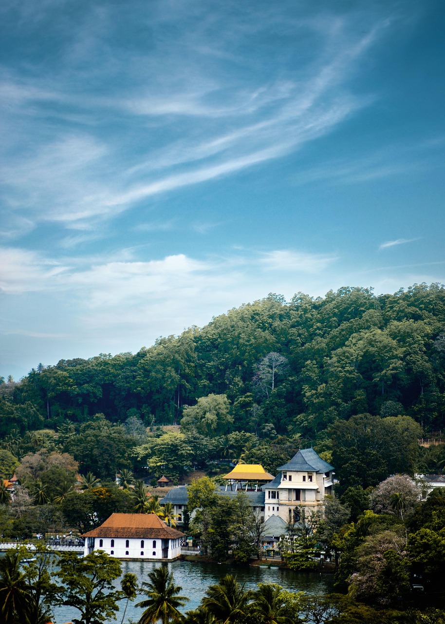 sri lanka, kandy, day, cityscape, city, skyscraper, colombo, architecture, modern, travel destination, illuminated, high rise, high angle view, landscape, mountains, clouds, travel, nature, scenery, sky, mountain, temple, buddha purnima, buddhist, buddha, green, blue buddha